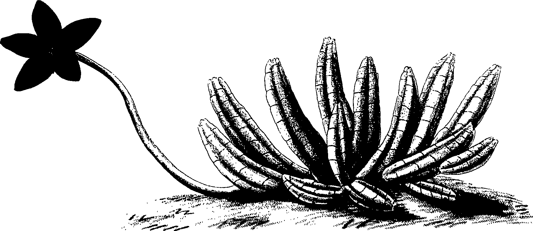 075/075950050000600_0.png