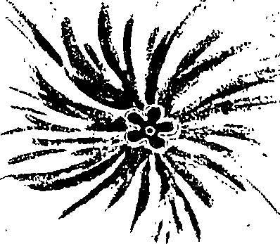 075/075950050000630_0.png