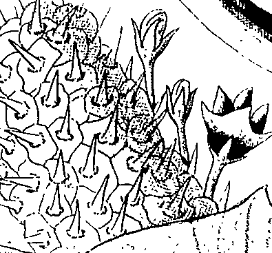075/075950050000630_1.png