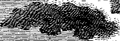 076/076090030300920_0.png
