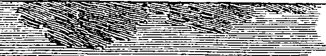 076/076100010401890_0.png