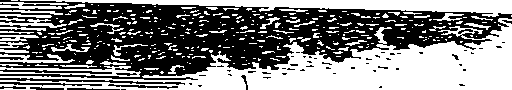 076/076100010500910_0.png