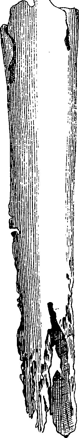 076/076270030102720_0.png