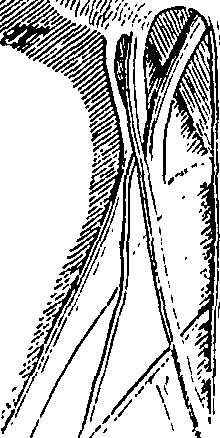 076/076270030202000_0.png