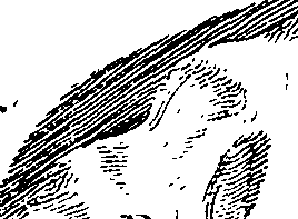 076/076270030202000_1.png