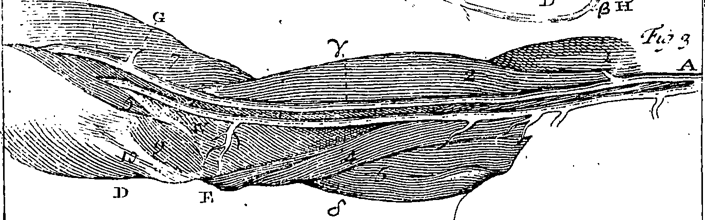 076/076270030202630_0.png