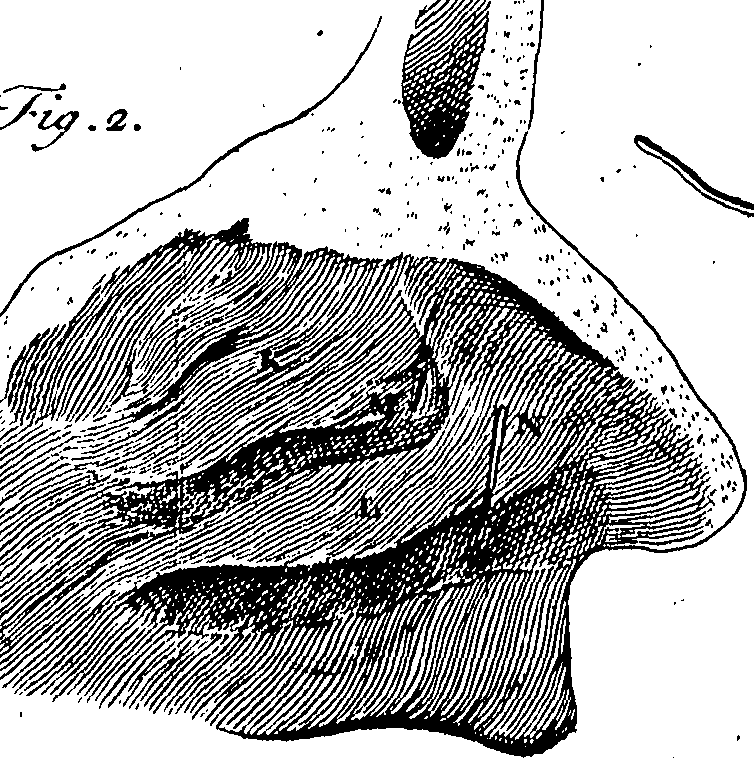 076/076270030302920_0.png
