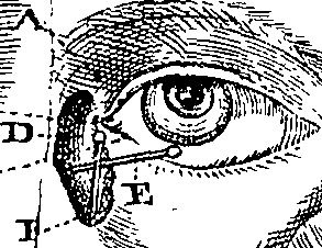 076/076270030302920_1.png