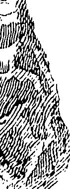 076/076280010501940_0.png