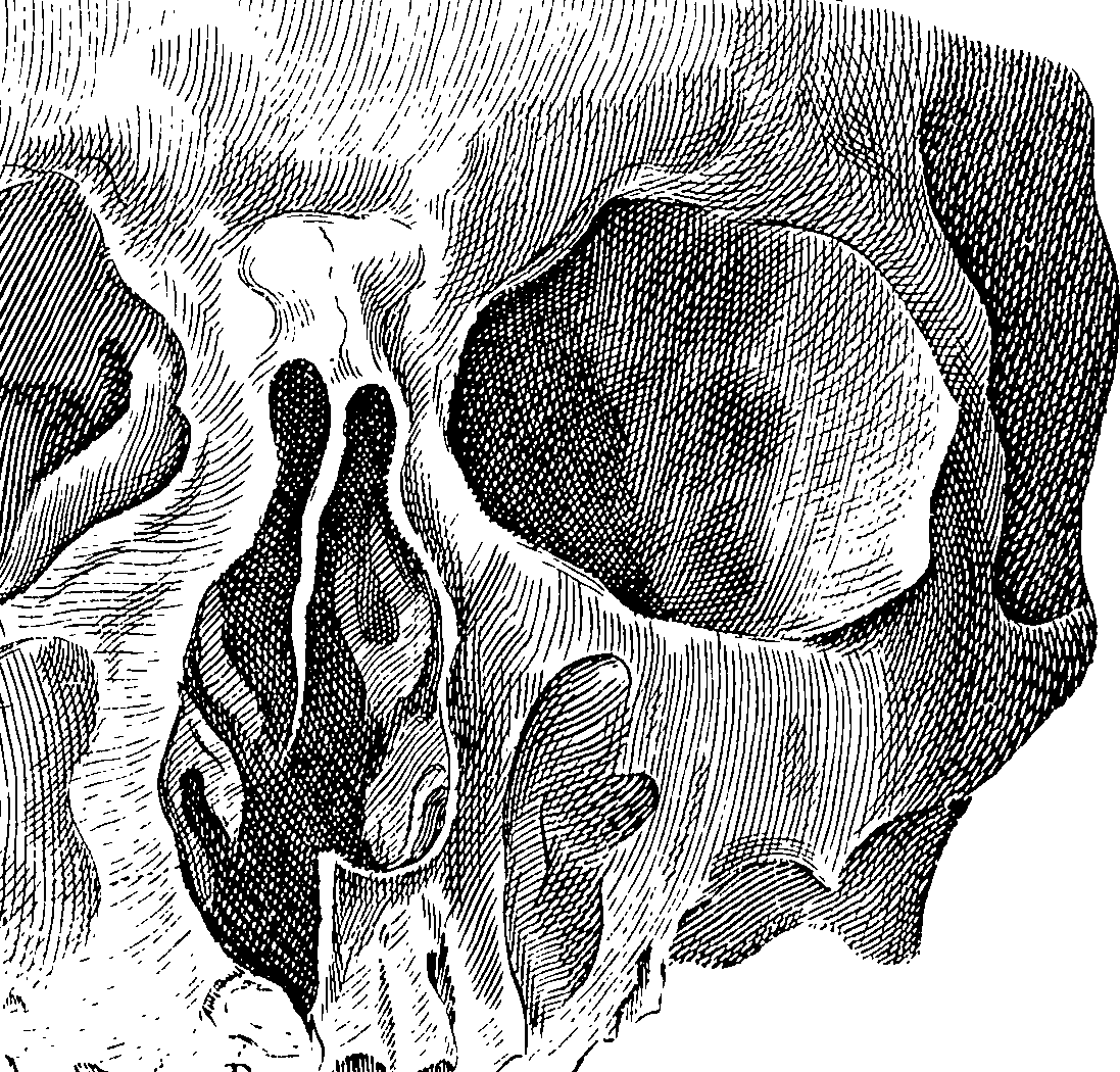 076/076280010501940_2.png
