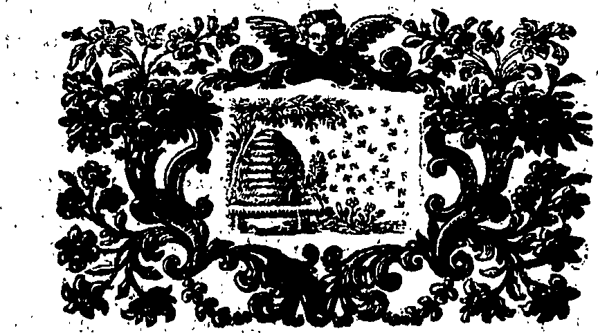 076/076300030203720_0.png