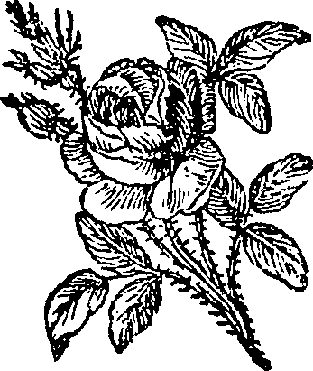 076/076310050000490_0.png