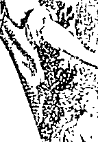 076/076310050001140_0.png