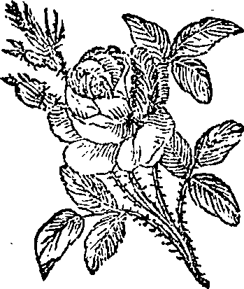 076/076310050001440_0.png