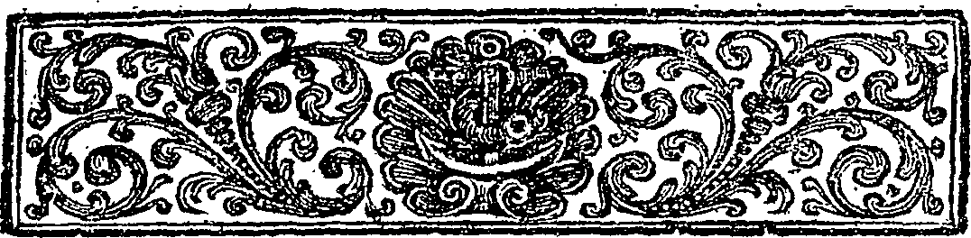 076/076350090000050_2.png
