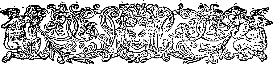 076/076350120000980_1.png