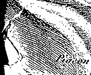076/076500120001640_0.png