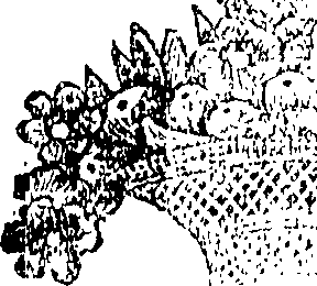 076/076510080000010_0.png
