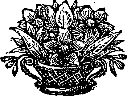 076/076540020000360_0.png