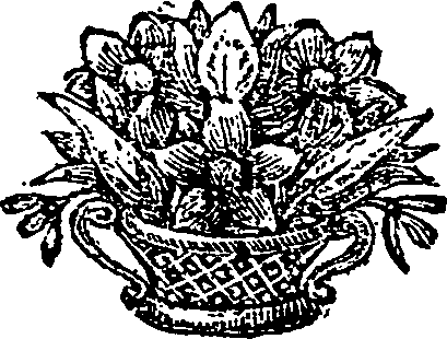 076/076540020000670_0.png
