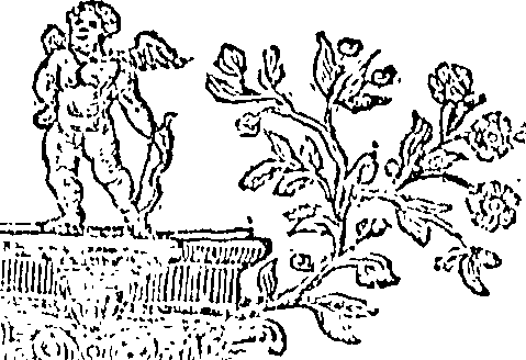 076/076550070000010_0.png