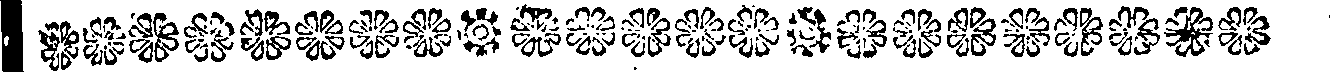 076/076620030001980_1.png