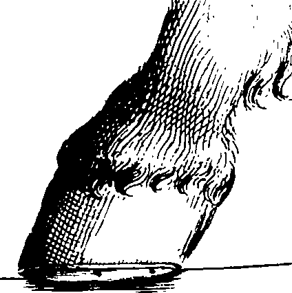076/076650030001020_0.png