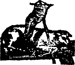 076/076730190004930_0.png