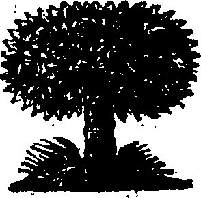 076/076760090000180_0.png
