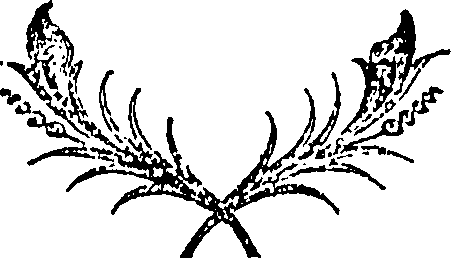 076/076760230000010_0.png