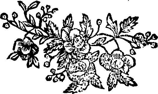 076/076870020000010_0.png
