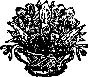 076/076870130000010_0.png