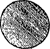 076/076960030000490_0.png