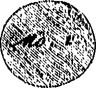 076/076960030000700_0.png