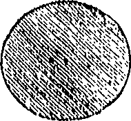 076/076960030000700_1.png