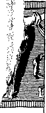 076/076960030004220_2.png