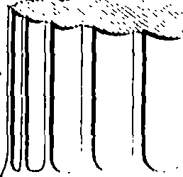 076/076960030004390_0.png