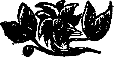 076/076960050000270_0.png