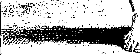 077/077000080000290_0.png