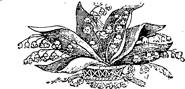 077/077010020100110_0.png