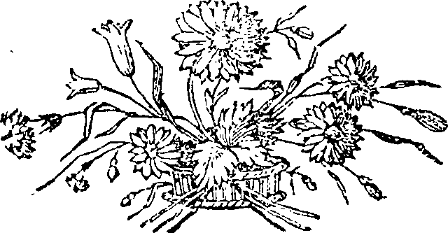 077/077010020100700_0.png