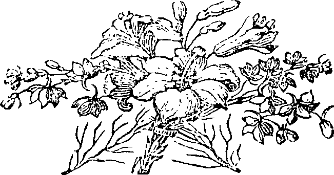 077/077010020100710_0.png