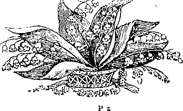 077/077010020101710_0.png