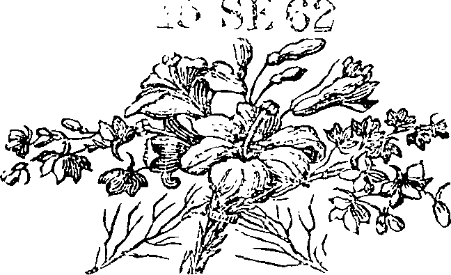 077/077010020101730_0.png
