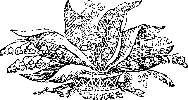077/077010020102380_0.png
