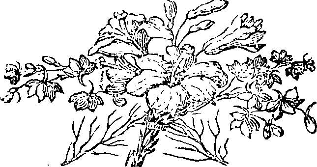 077/077010020102400_0.png