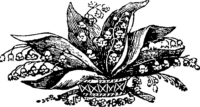 077/077010020103240_0.png