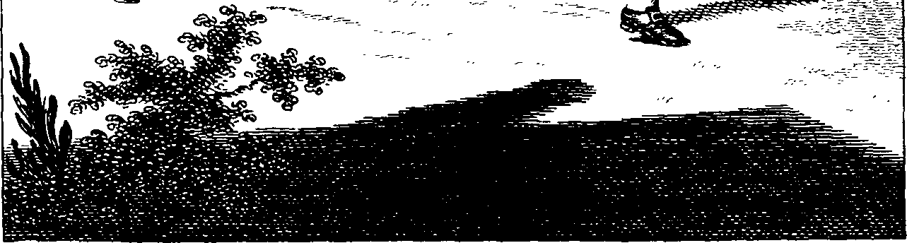 077/077070080002010_0.png