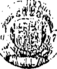 077/077130180000040_0.png