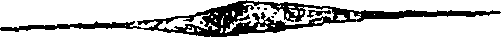 077/077150070001010_1.png